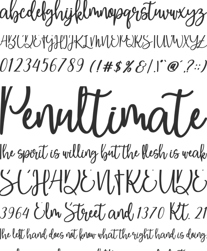 Own Friday font preview