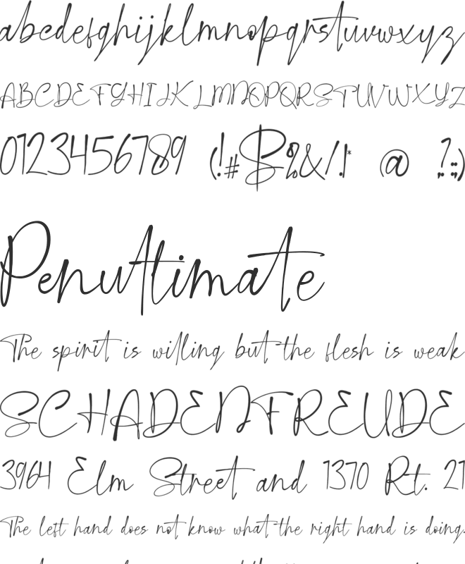 suntime font preview
