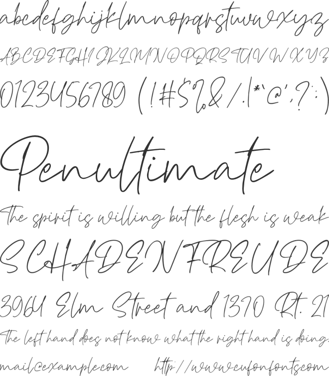 Haverink Script font preview