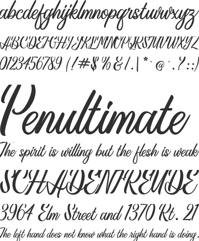 Anthemy Script font preview