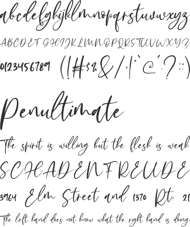Bethany Signature font preview