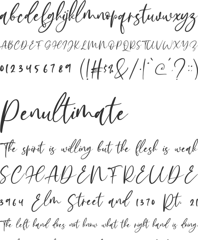 Bethany Signature font preview