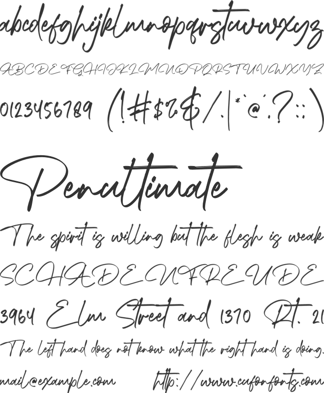 King Waller font preview