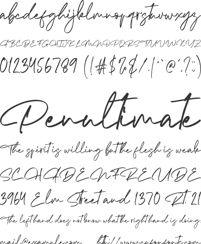 The Morgan font preview