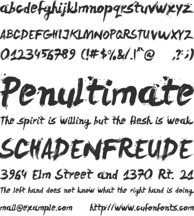 LeviReBrushed font preview