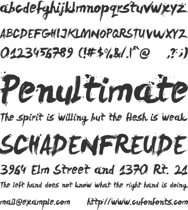 LeviReBrushed font preview