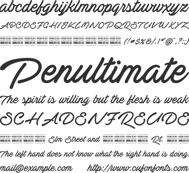 Actonia Hand PERSONAL USE font preview