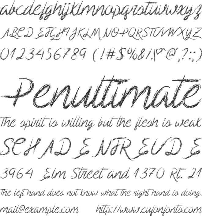 Scribble Script font preview