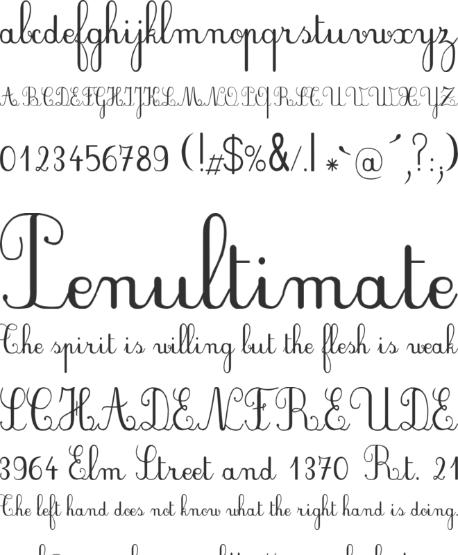 Plum Script font preview