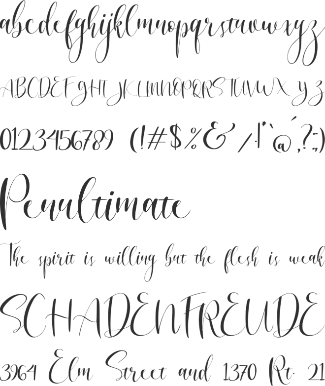 Angelina Script font preview
