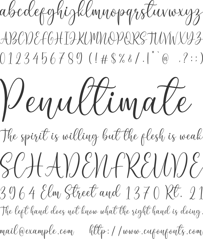 Rebeca font preview