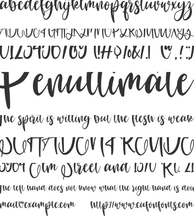 dragon fruit font preview