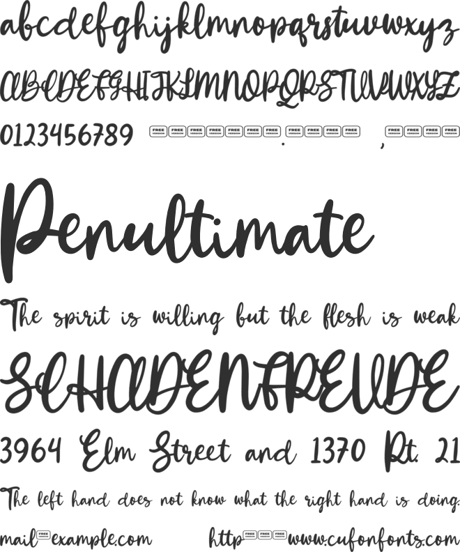 Winola Free Trial font preview