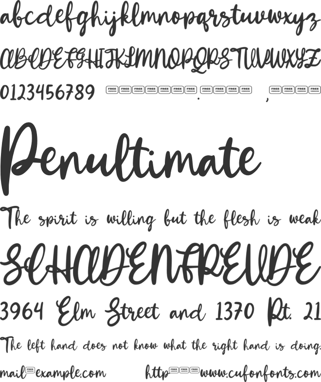 Winola Free Trial font preview