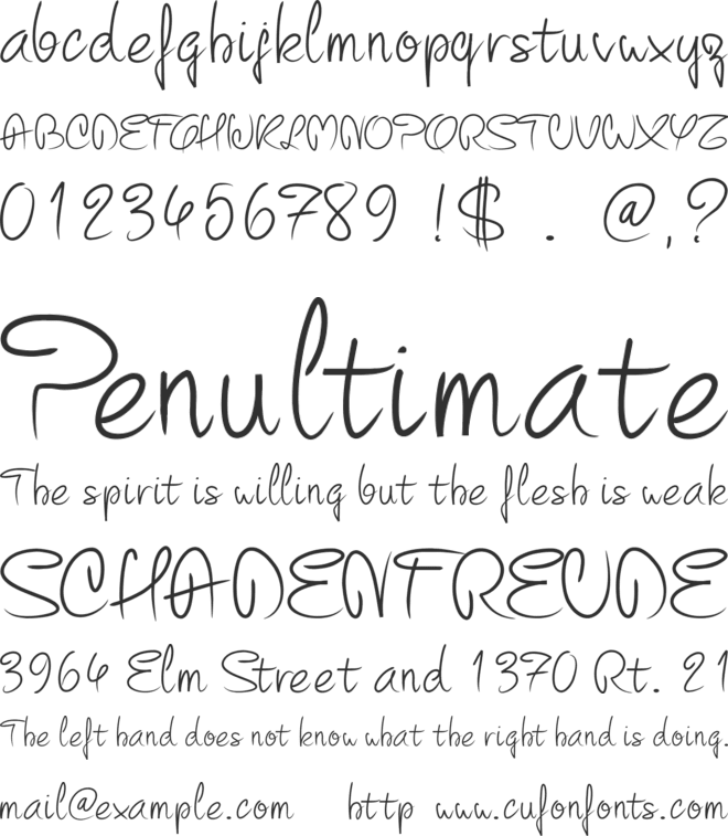 PW Curvy  script font preview