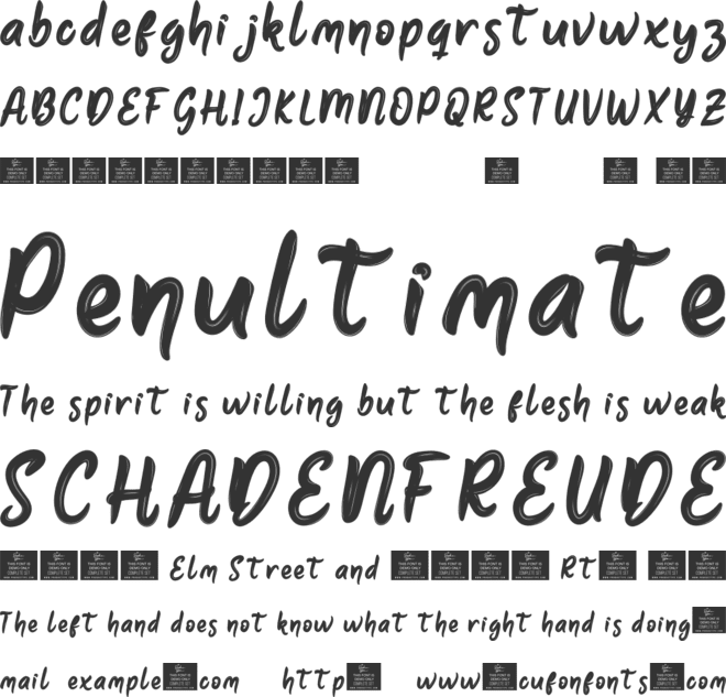 Rankest font preview