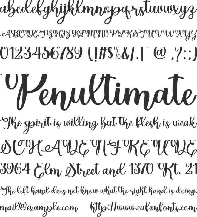 Christmas Holland Personal Use font preview