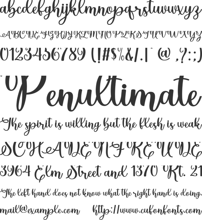 Christmas Holland Personal Use font preview