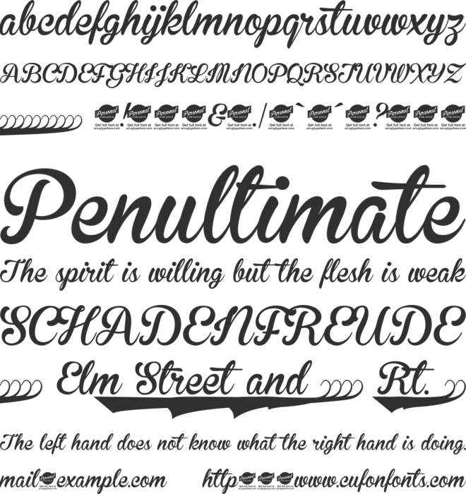 Brannboll Ny Personal Use Only font preview