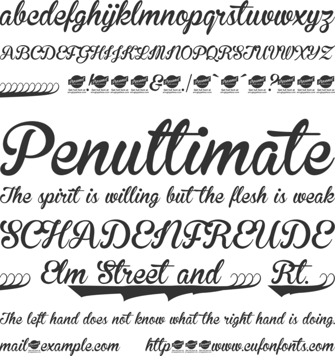 Brannboll Ny Personal Use Only font preview