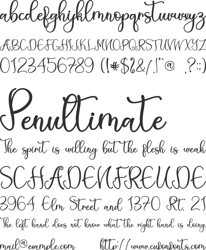 Aneliya - Personal Use font preview