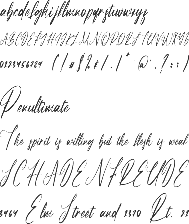 Partiny Agathi font preview