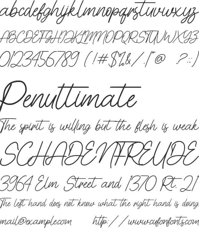 Cinthya Amy font preview