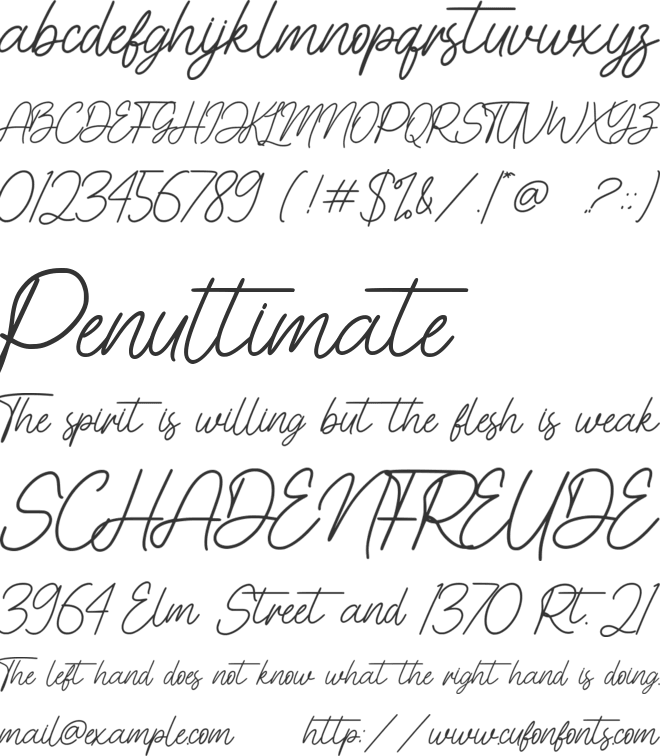 Cinthya Amy font preview