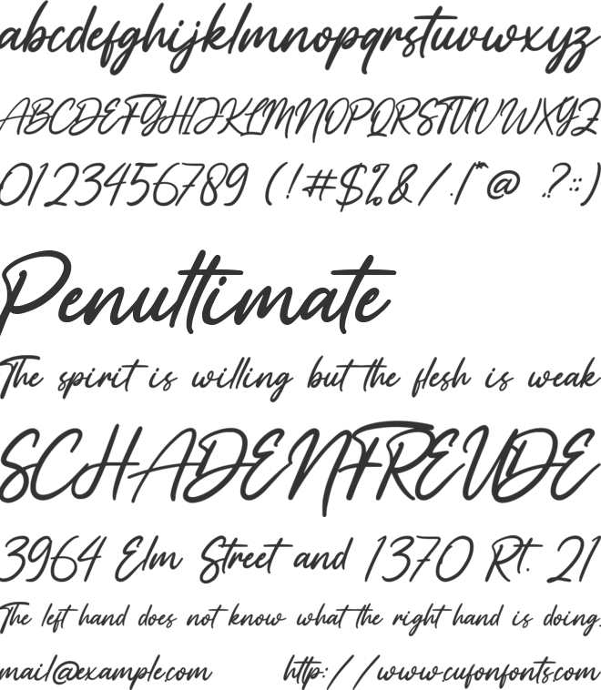 Vaizonlly font preview