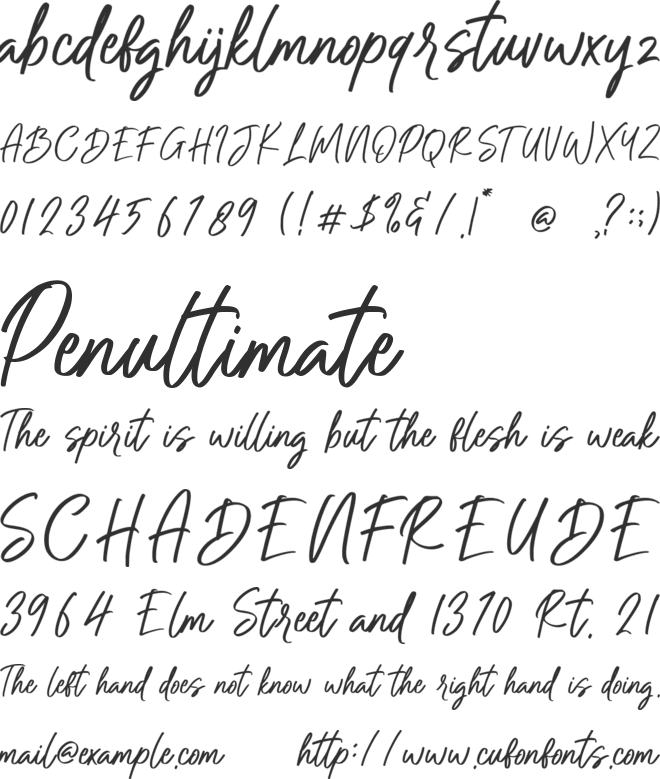 Pretty Berelly font preview