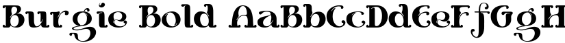 Burgie Bold font