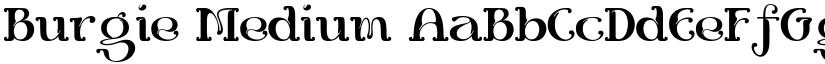 Burgie Medium font