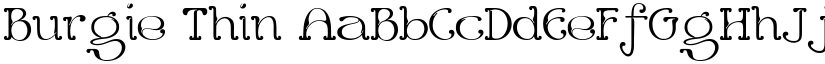 Burgie Thin font