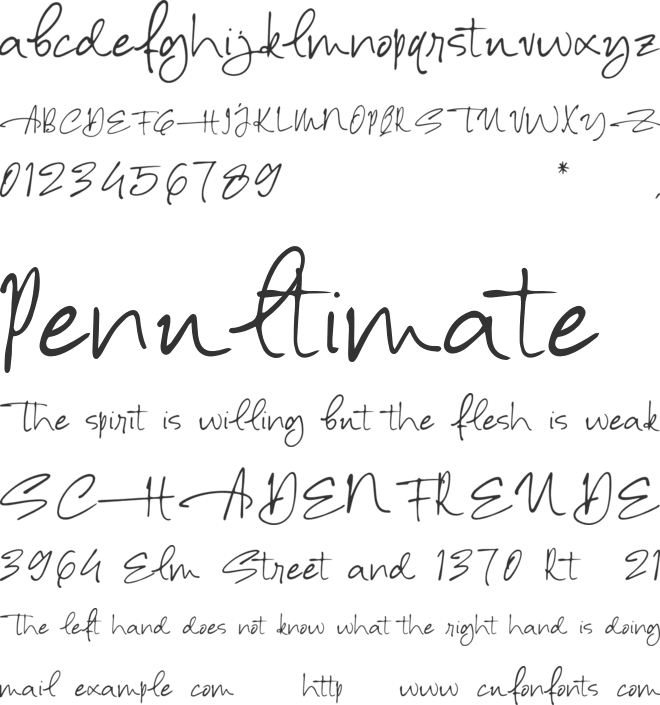 Alessia Harvey font preview