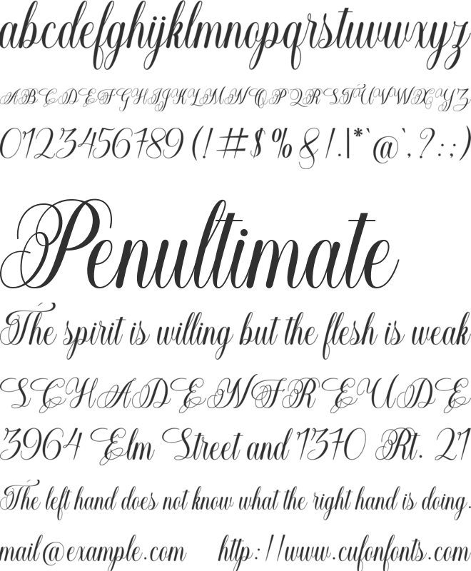 Beatrice Script font preview