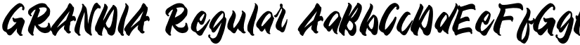 GRANDIA font download