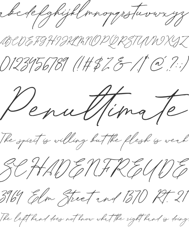 Sachlette Signature font preview