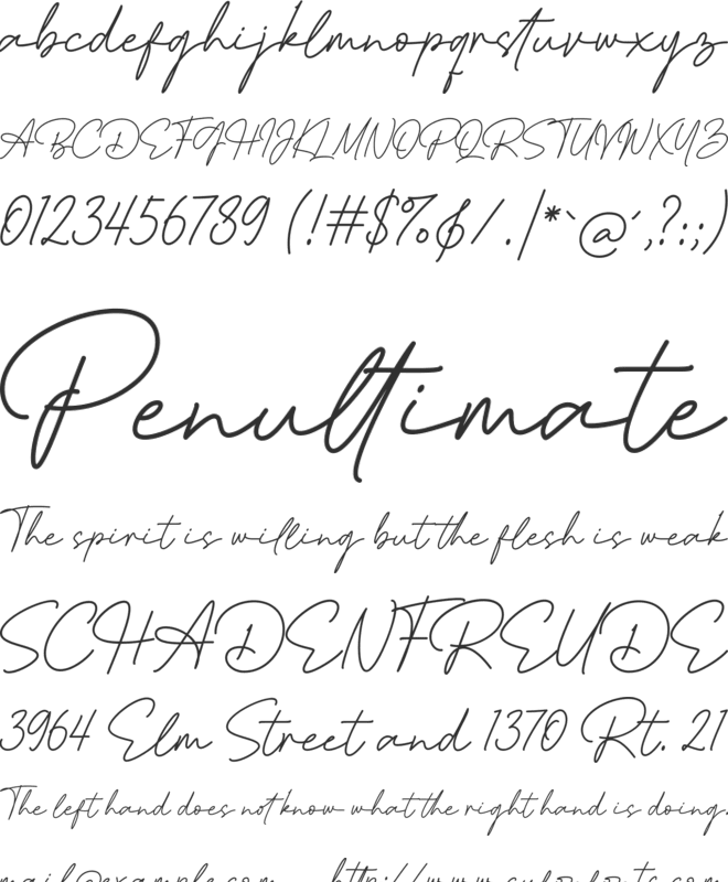 Le Marshall font preview