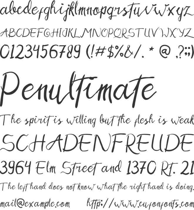 Halvi font preview