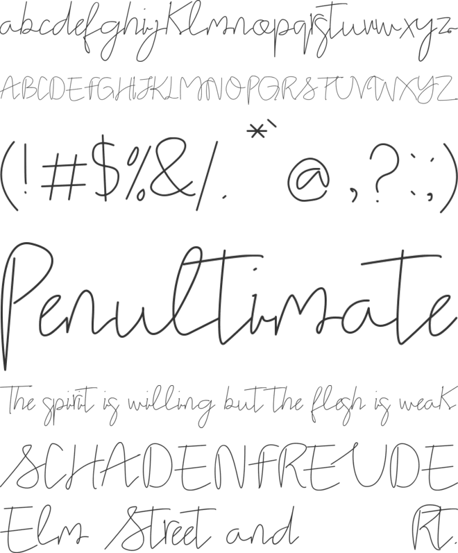 Stella signature font preview
