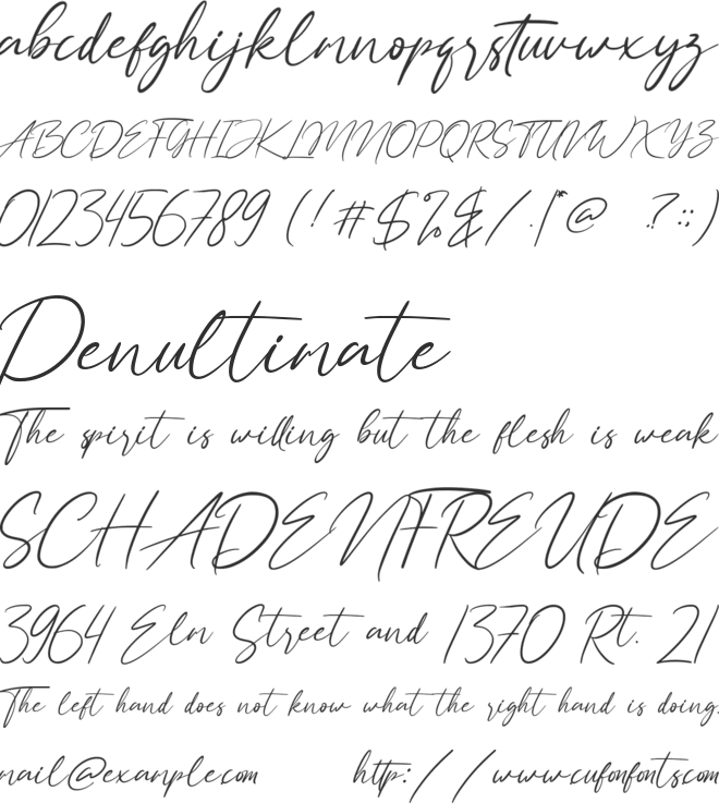 Hay Catty font preview