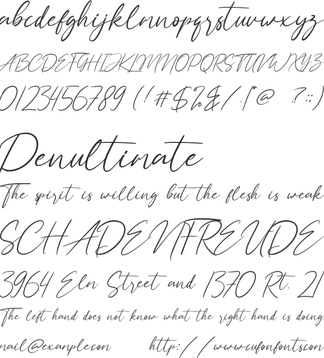 Hay Catty font preview