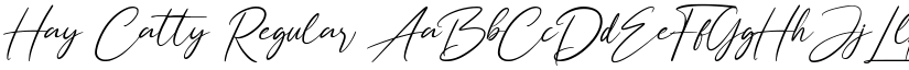 Hay Catty Regular font