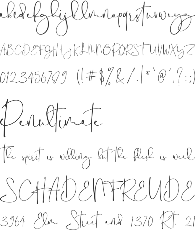 Holy Type font preview