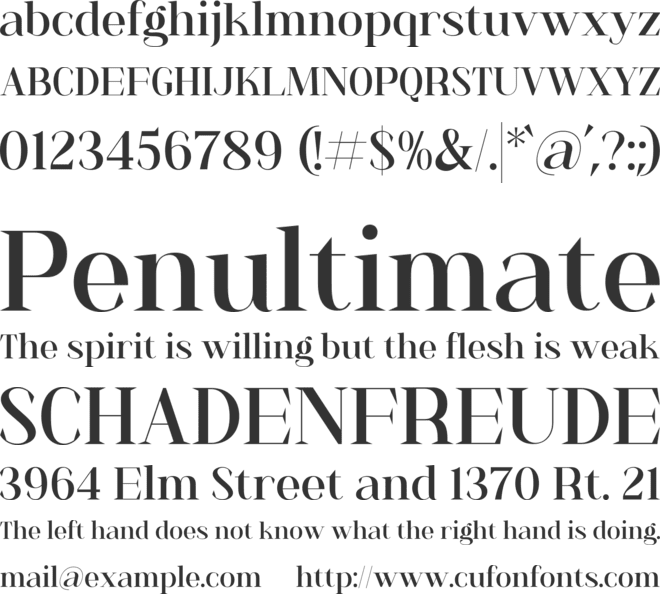 Anya Tamy font preview