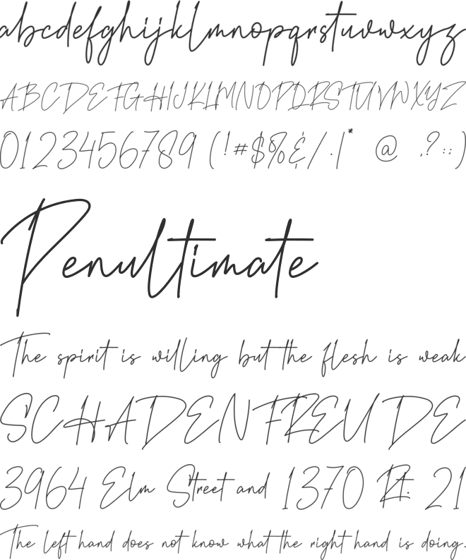 The Rightness font preview