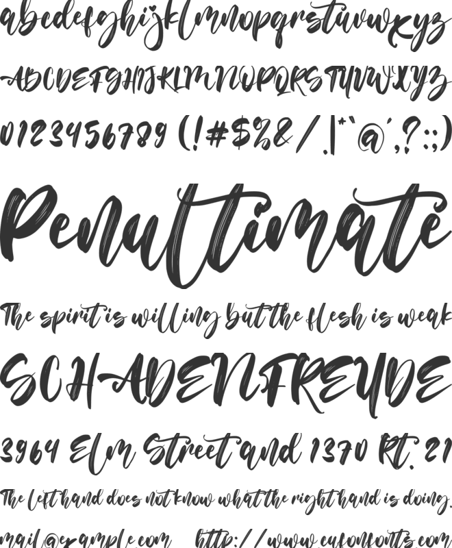 Flower Winter font preview