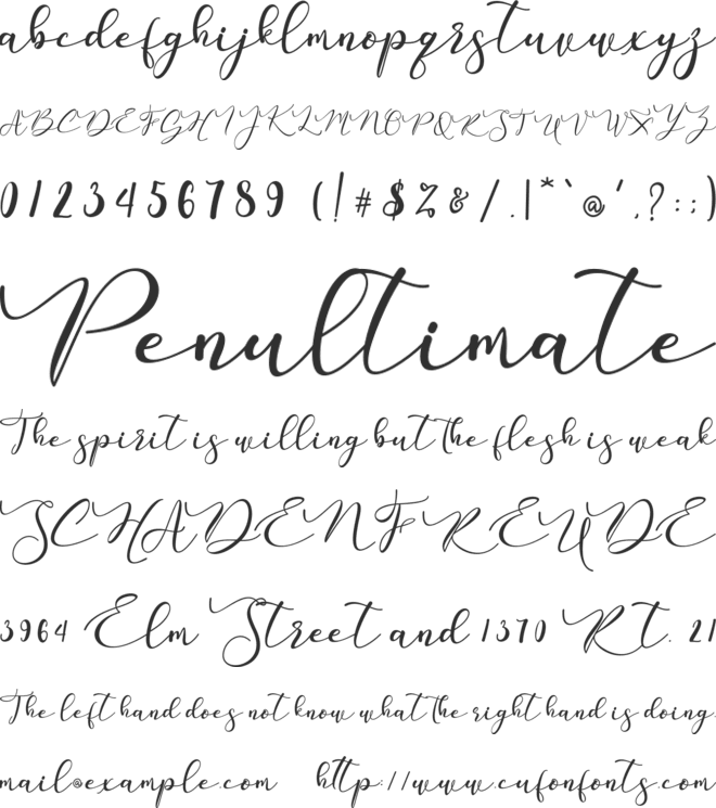 Ruth Daisi font preview