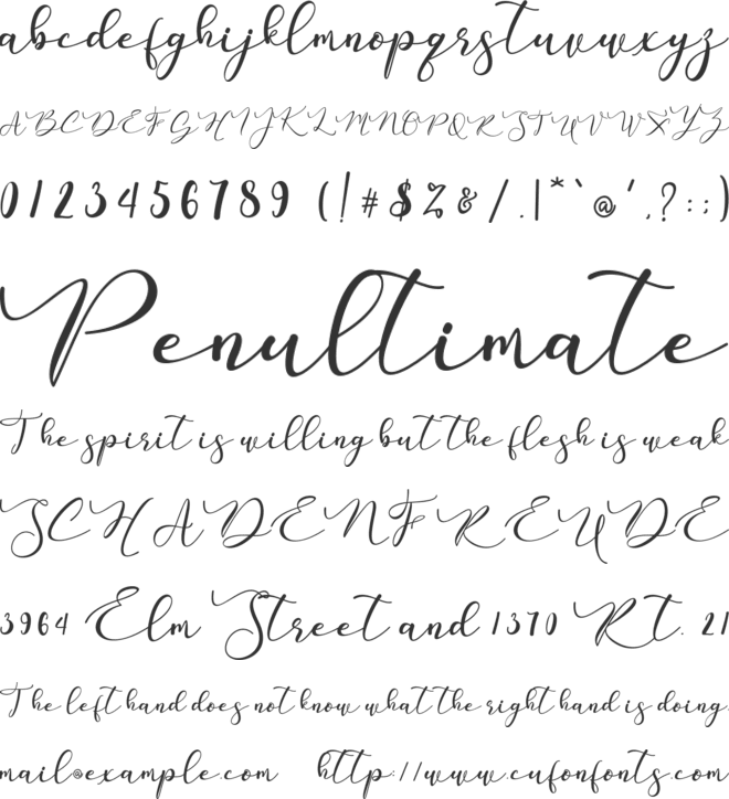 Ruth Daisi font preview