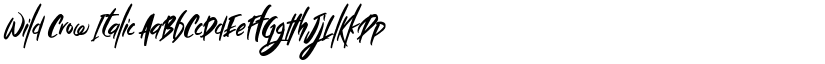 Wild Crow Italic font